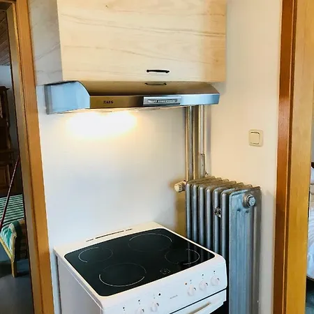 Zum Bergbauer Appartement Mittenwald Buitenkant foto